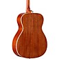 Open Box Alvarez AF60GD Grateful Dead OM Acoustic Guitar Level 2 Sunshine 190839869838