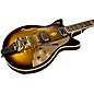 Duesenberg USA Alliance Joe Walsh Electric Guitar Gold Burst