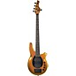 Ernie Ball Music Man Bongo 5 5-String Electric Bass Guitar - Gold Bar