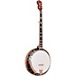 Gold Tone OB-250+TP Orange Blossom Banjo With Tony Pass Schaeffer Rim Vintage Brown thumbnail