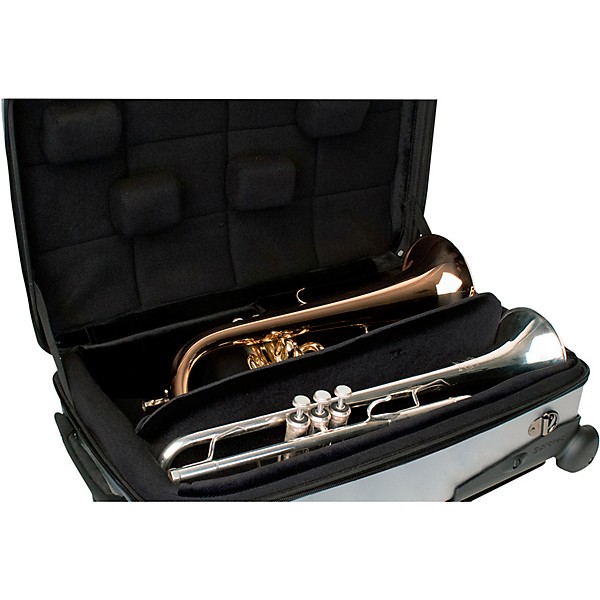 Protec Single/Double/Triple Horn ZIP ABS Case Silver