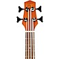 Gold Tone 23-Inch Scale Left-Handed Acoustic-Electric MicroBass with Gig Bag