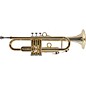 Open Box pTrumpet pTrumpet hyTech Metal/Plastic Trumpet Level 2 Gold 194744811265 thumbnail