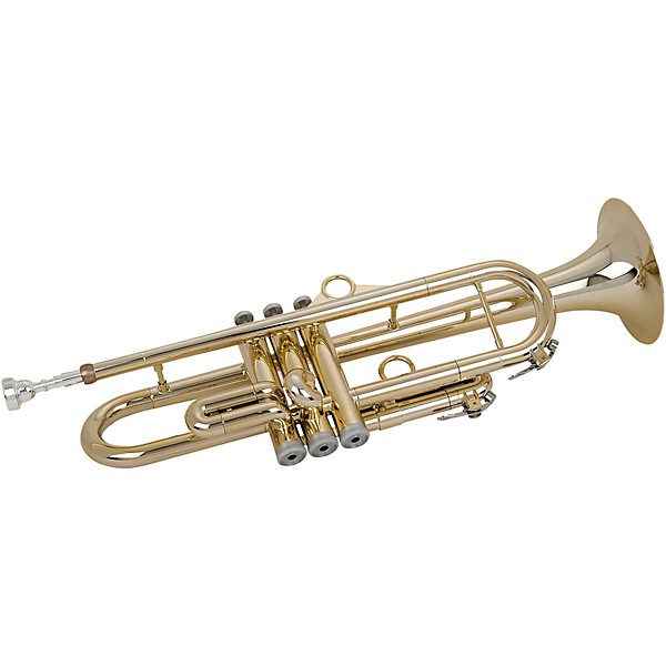 Open Box pTrumpet pTrumpet hyTech Metal/Plastic Trumpet Level 2 Gold 194744811265