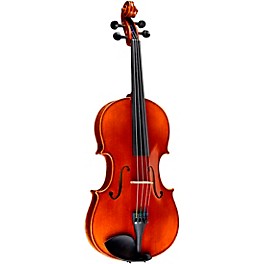 Ren Wei Shi Academy II Series Violin Outfit 1/8 Ren Wei Shi Academy II Series Violin Outfit 4/4