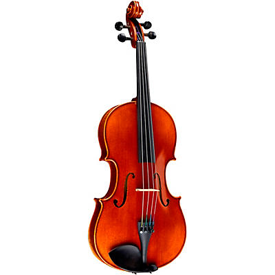 Ren Wei Shi Academy Ii Series Violin Outfit 4/4 for sale