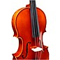 Ren Wei Shi Academy II Series Violin Outfit 4/4