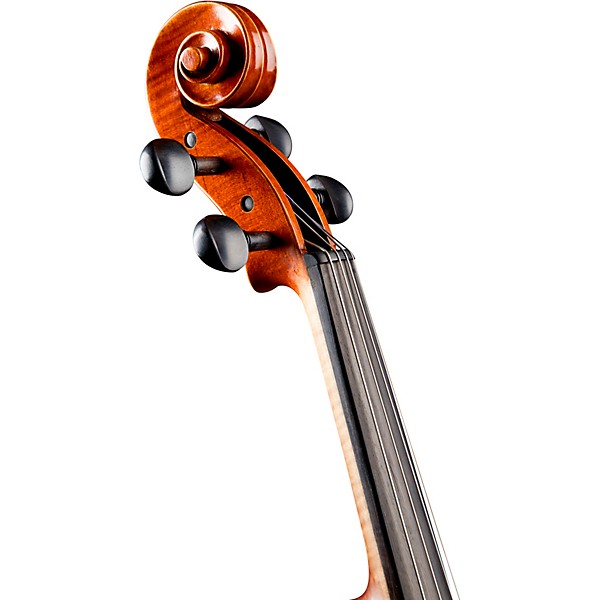 Ren Wei Shi Academy II Series Viola Outfit 16.5 in.