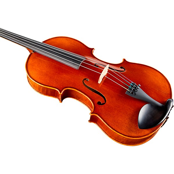Ren Wei Shi Academy II Series Viola Outfit 16.5 in.
