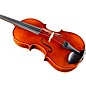 Ren Wei Shi Academy II Series Viola Outfit 16.5 in.