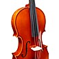Ren Wei Shi Academy II Series Viola Outfit 16.5 in.
