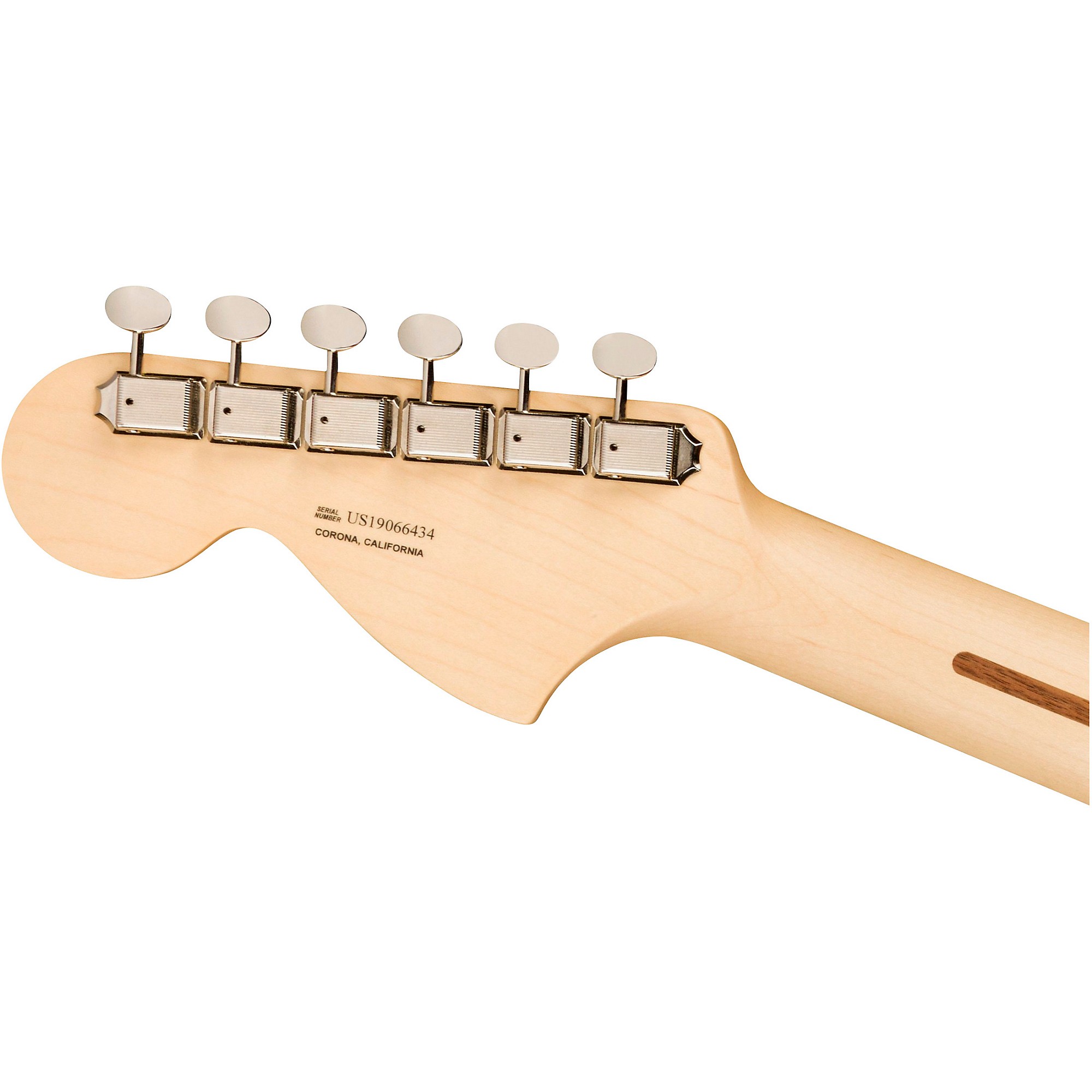 Fender American Performer Raw Ash Stratocaster Limited Fender American Performer Raw Ash Stratocaster Limited