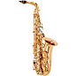 Allora AAS-580 Chicago Series Alto Saxophone Un-Lacquered Unlacquered Keys thumbnail