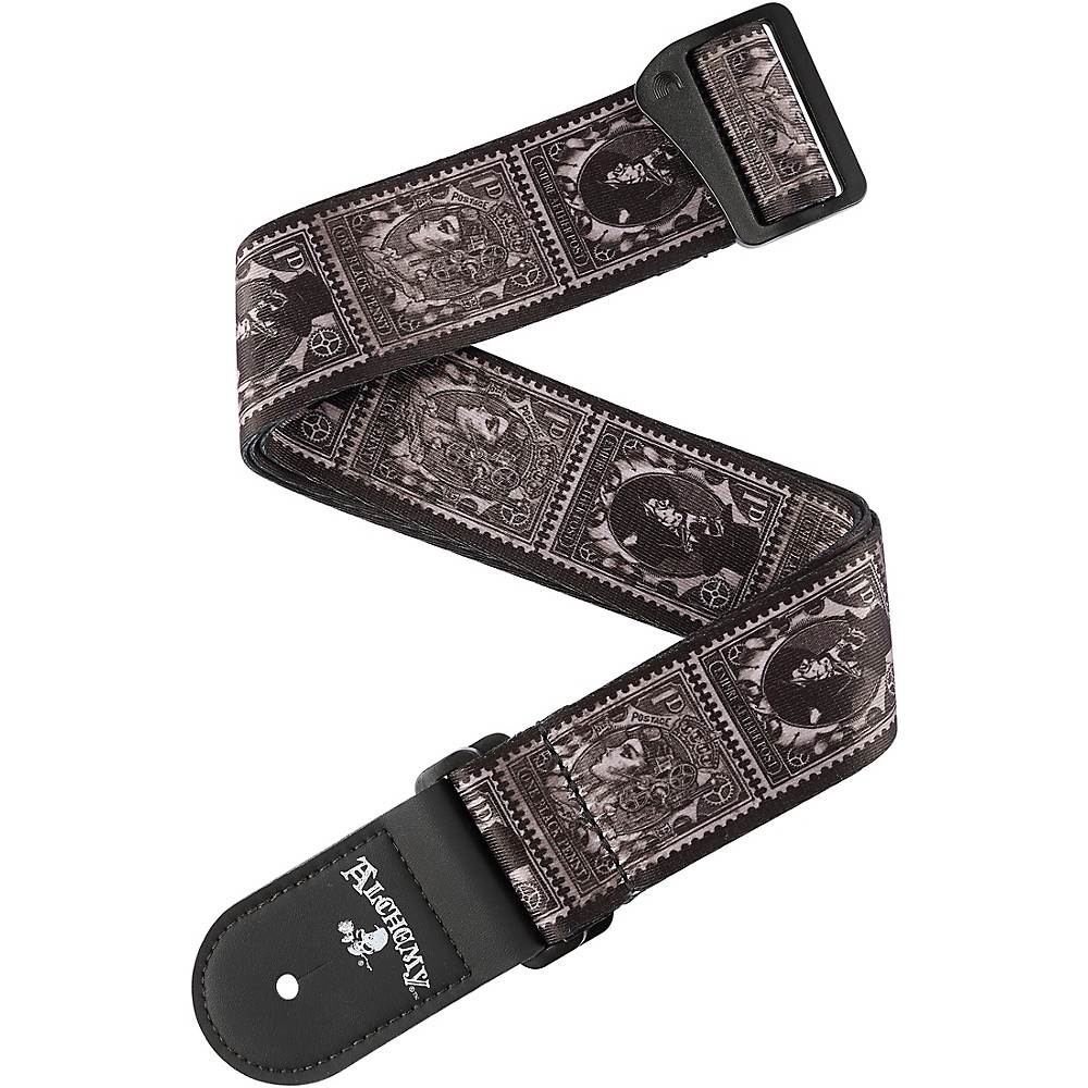 UPC 019954293796 product image for D'addario Planet Waves Alchemy Polyester Straps Black And White 2 In. | upcitemdb.com