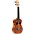 Stagg Tiki Concert Ukulele Maio Stagg Tiki Concert Ukulele Hewa