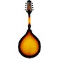 Rogue RM110AE Acoustic-Electric A-Style Mandolin Sunburst