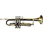 BAC Music Artist Series Hollywood Trumpet Patina Lacquer Yellow Brass Bell thumbnail