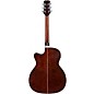 Clearance Mitchell T413CE-BST Terra Series Auditorium Solid Torrefied Spruce Top Acoustic-Electric Guitar Edge Burst