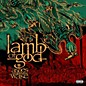 Lamb of God - Ashes Of The Wake - 15th Anniversary thumbnail