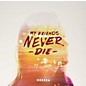 Odesza - My Friends Never Die thumbnail