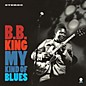 B.B. King - My Kind Of Blues thumbnail