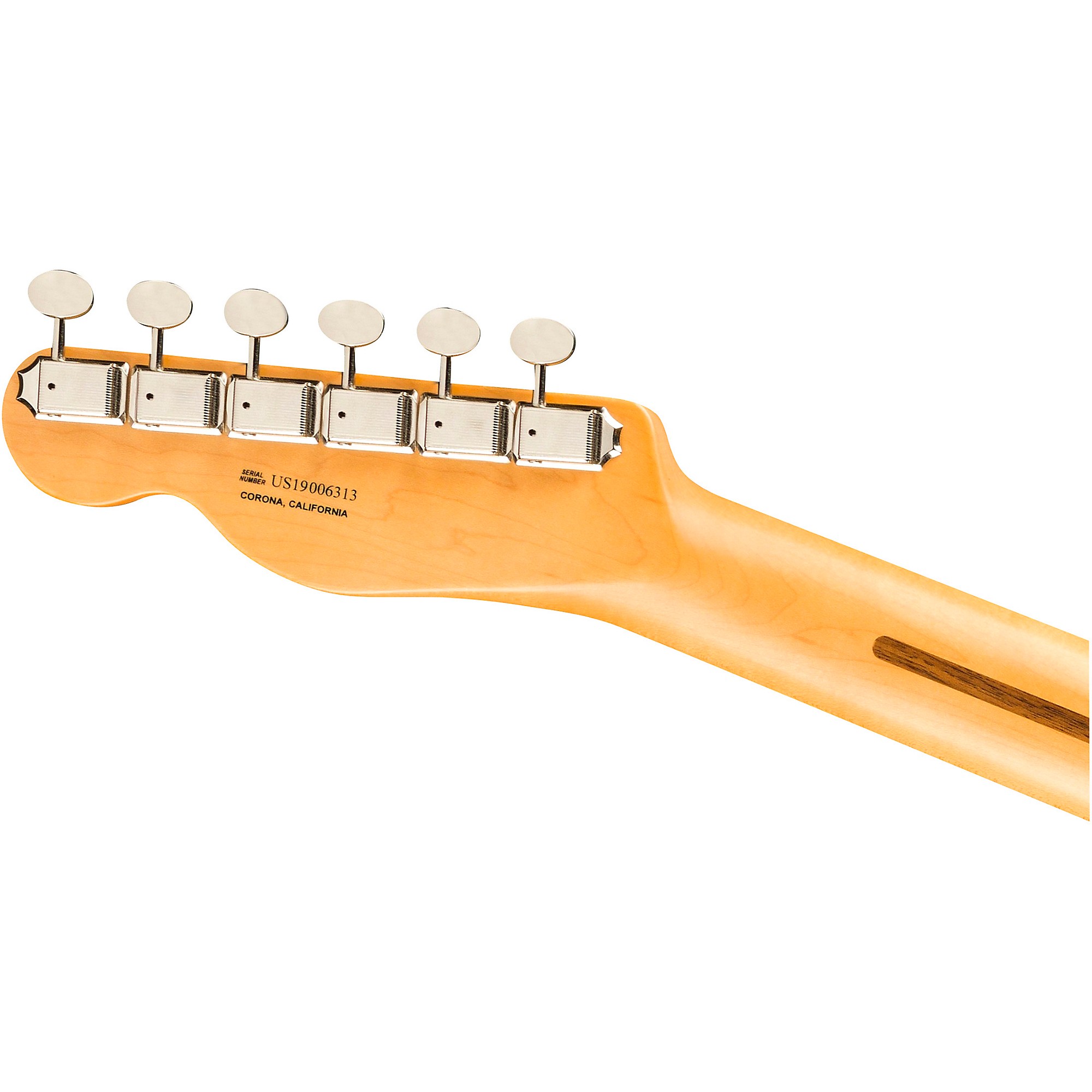 Fender Britt Daniels Telecaster Thinline Maple Fingerboard
