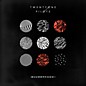 Twenty One Pilots - Blurryface (CD) thumbnail