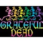 C&D Visionary Grateful Dead Skelly & Rainbow Magnet thumbnail