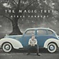 Steve Forbert - The Magic Tree thumbnail