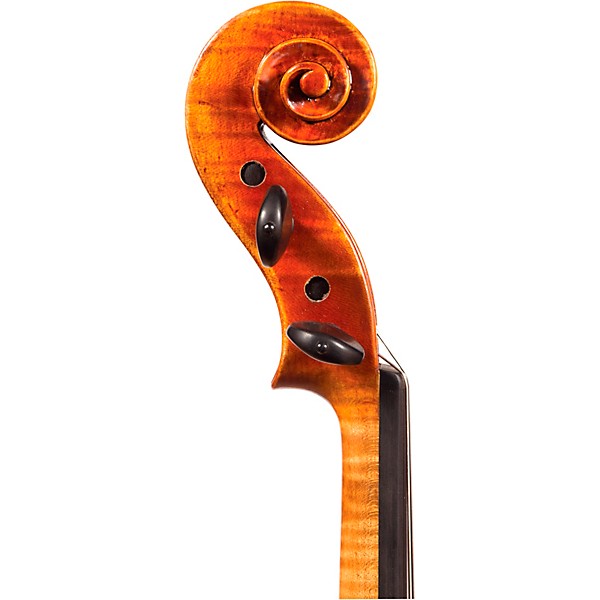 Alessandro A450 Firenze Series Intermediate Violin 4/4