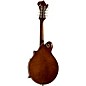 Kentucky KM-756 Deluxe F-model Mandolin Vintage Brown