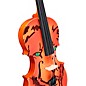 Rozanna's Violins Lion Spirit Violin Outfit 4/4