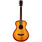 Open Box Breedlove Organic Collection Signature Concertina Acoustic-Electric Guitar Level 2 Copper Burst 194744832253