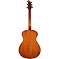 Breedlove Organic Collection Signature Concert Acoustic-Electric Guitar Copper Burst