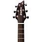 Breedlove Organic Collection Signature Concert Acoustic-Electric Guitar Copper Burst