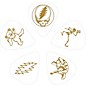 D'Addario Planet Waves Grateful Dead Icon Picks Olympic White 10 Pack