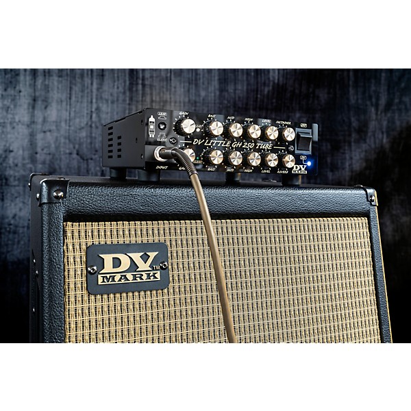 DV Mark DV Little 250 GH Greg Howe Signature 250W Tube Hybrid Guitar Amp Head