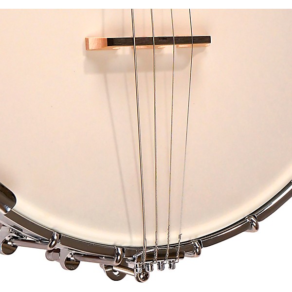 Gold Tone IT-250 4-String Irish Tenor Open-Back Banjo Natural