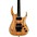 B.C. Rich Shredzilla Prophecy Archtop ... B.C. Rich Shredzilla Prophecy Archtop With Floyd Rose Electric Guitar Spalted Maple