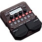 Zoom A1 Four Acoustic Multi-Effects Processor
