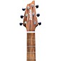 Breedlove Organic Collection Signature Concert Cutaway CE Acoustic-Electric Guitar Obsidian