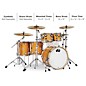 DW 5-Piece Collector's Series Santa Monica Shell Pack With Chrome Hardware Butterscotch