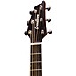 Open Box Breedlove Organic Collection Signature Companion Acoustic-Electric Guitar Level 2 Copper Burst 194744307621