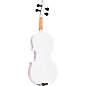 Rozanna's Violins Snowflake II Series Violin Outfit 1/2