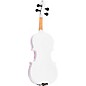 Open Box Rozanna's Violins Snowflake II Series Violin Outfit Level 1 1/4