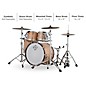 Open Box Dixon Cornerstone Maple 4-Piece Shell Pack Level 1 Gloss Natural