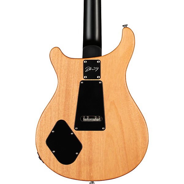 PRS DW CE24 24 Floyd Electric Guitar Black