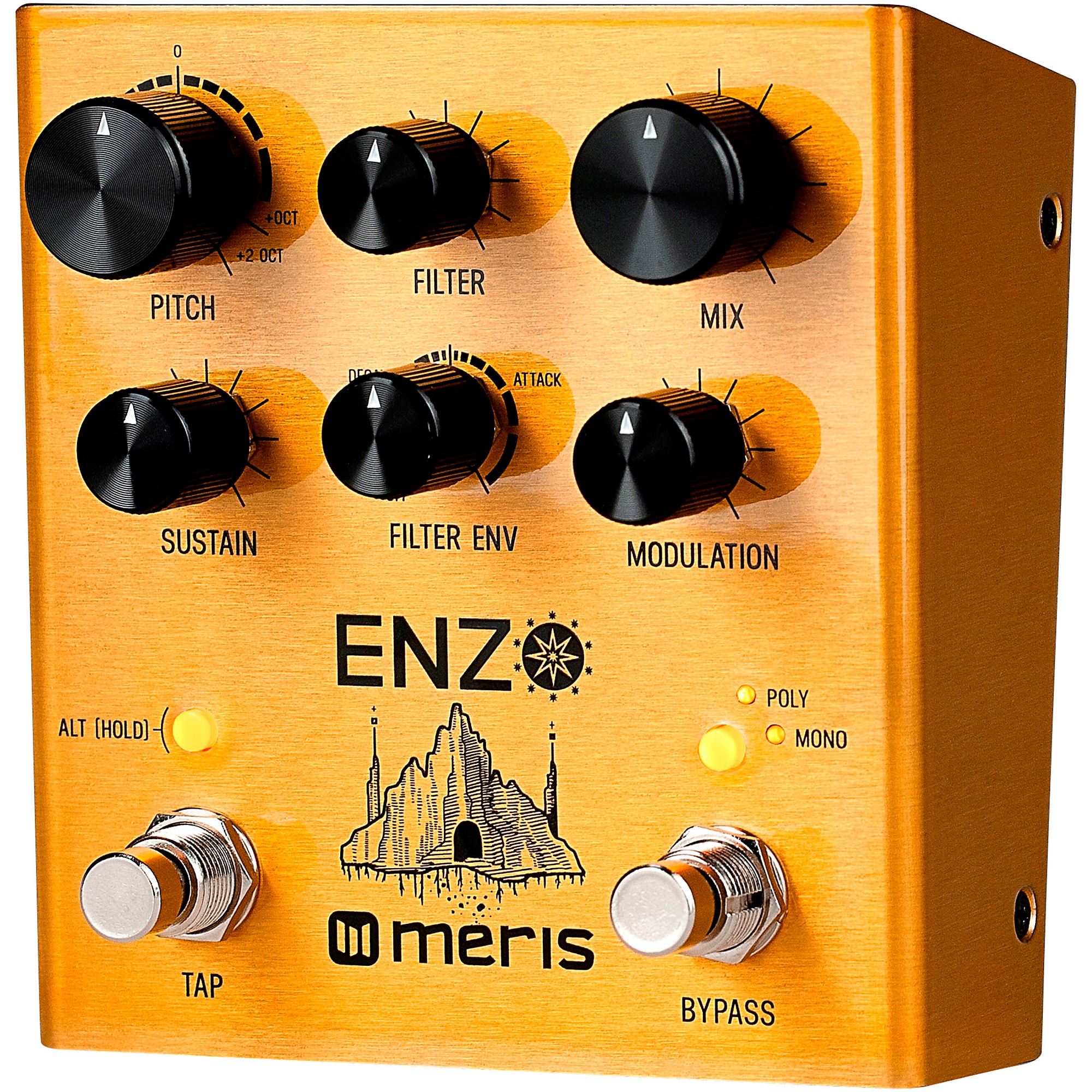 Meris Enzo Synthesizer Effects Pedal | Guitar Center