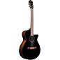 Ibanez AEG50N Acoustic-Electric Classical Guitar Gloss Black