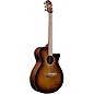 Ibanez AEG70 Flamed Maple Top Grand Concert Acoustic-Electric Guitar Tiger Burst High Gloss